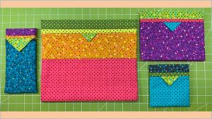 Snap Case  – March 2024